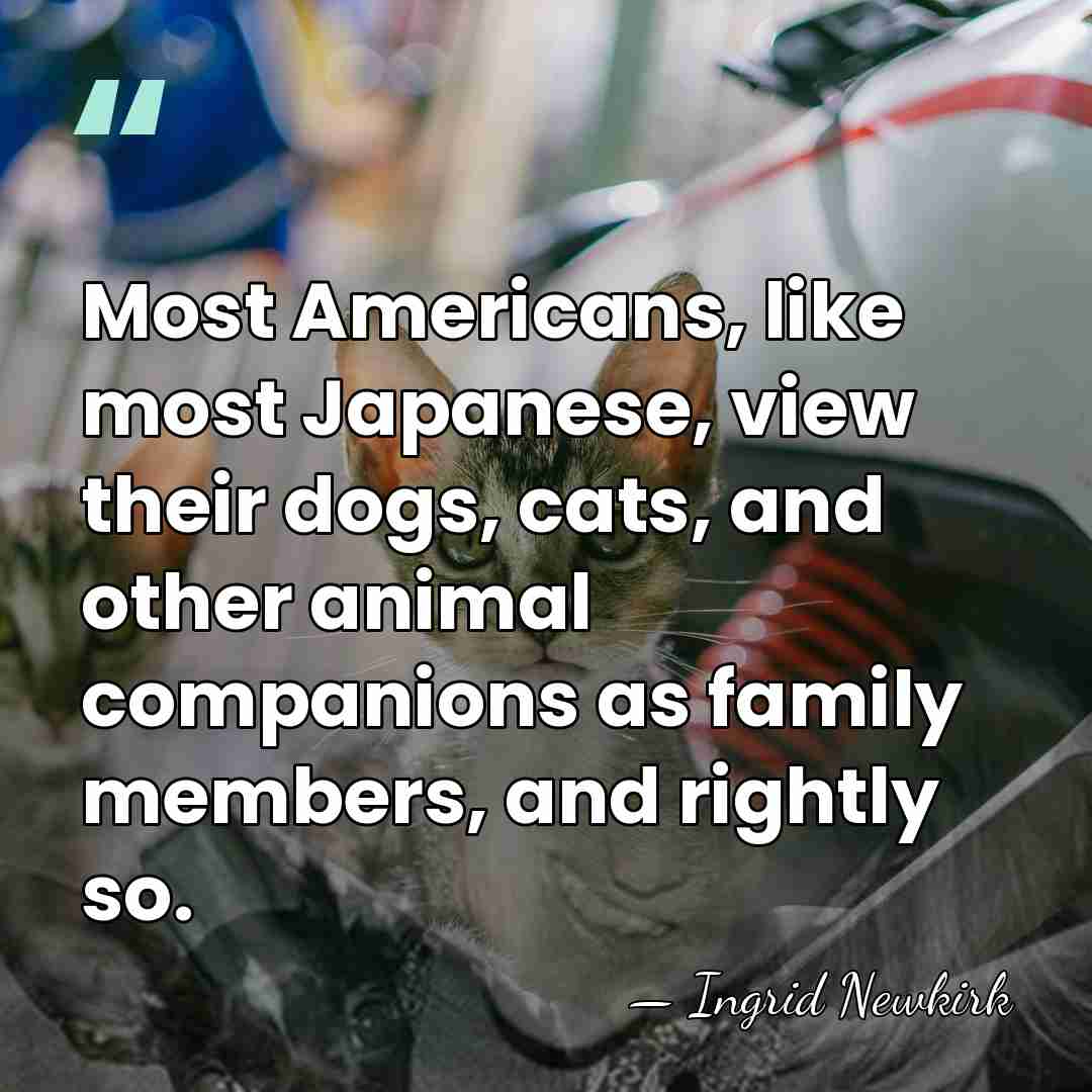 Most Americans, like most Japanese, view their dogs, cats, and other animal&hellip; - Ingrid Newkirk