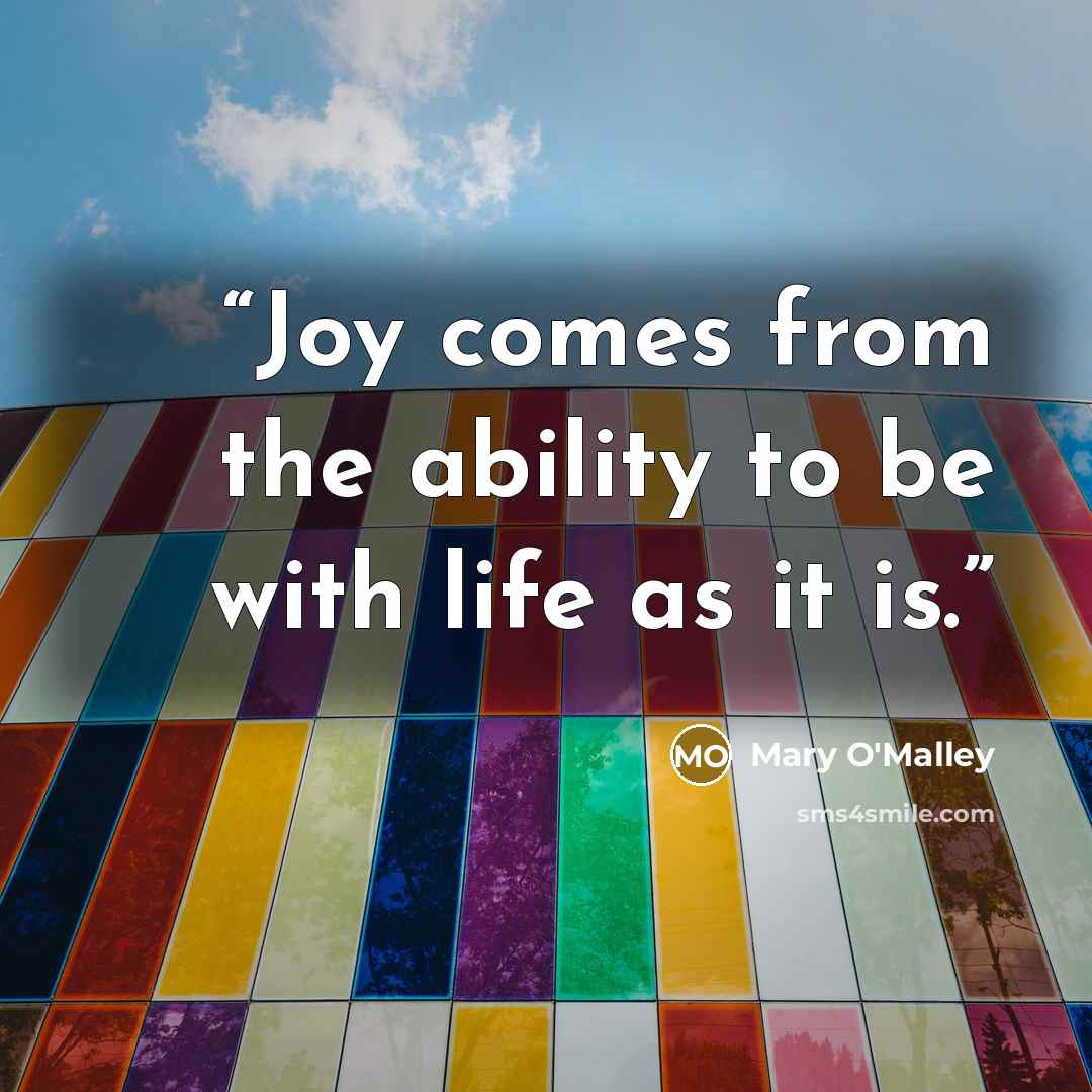 “Joy comes from the ability to be with life as it is.” quote by Mary O'Malley