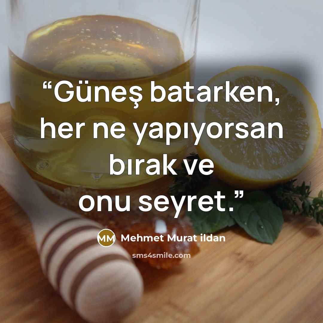 “Güneş batarken, her ne yapıyorsan bırak ve onu seyret.” quote by Mehmet Murat ildan