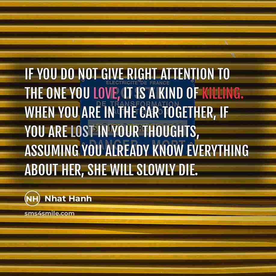 “If you do not give right attention to the one…” quote by Nhat Hanh