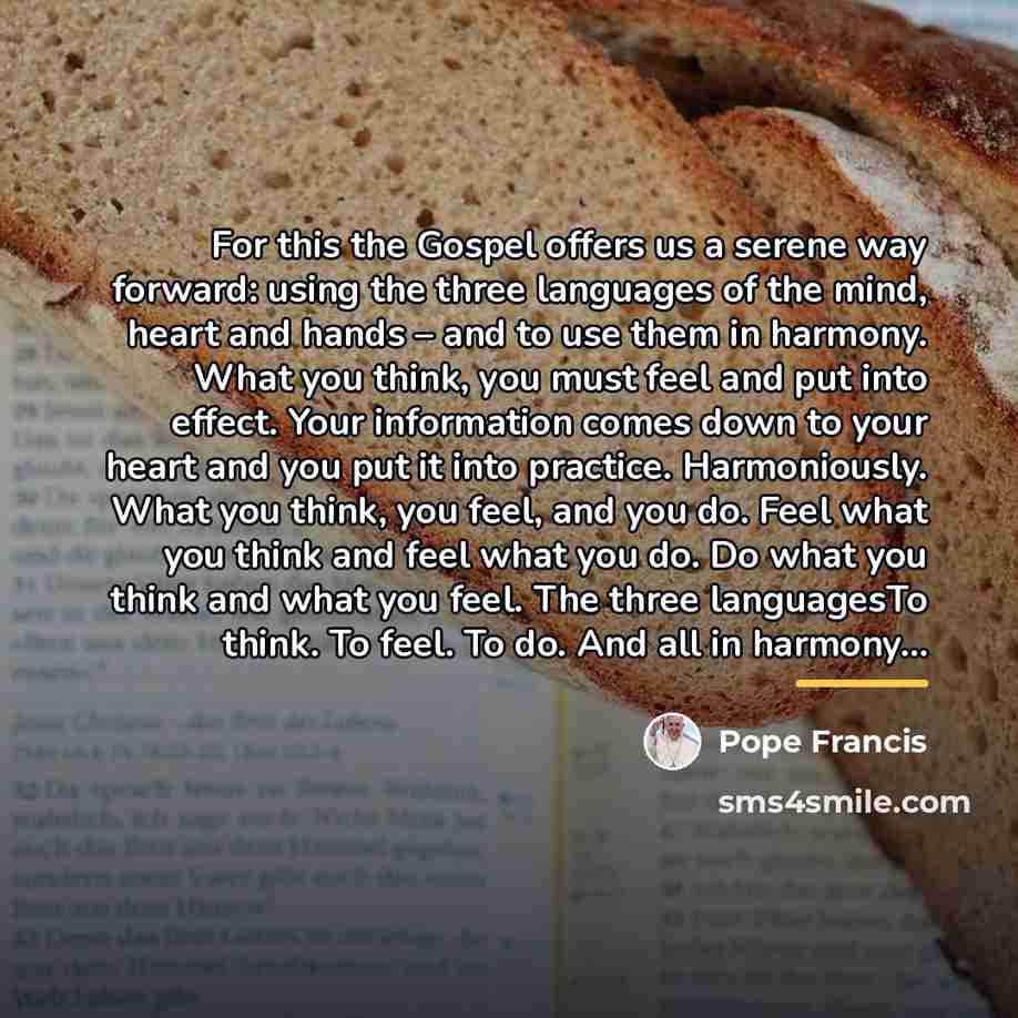 “For this the Gospel offers us a serene way forward:…” quote by Pope Francis
