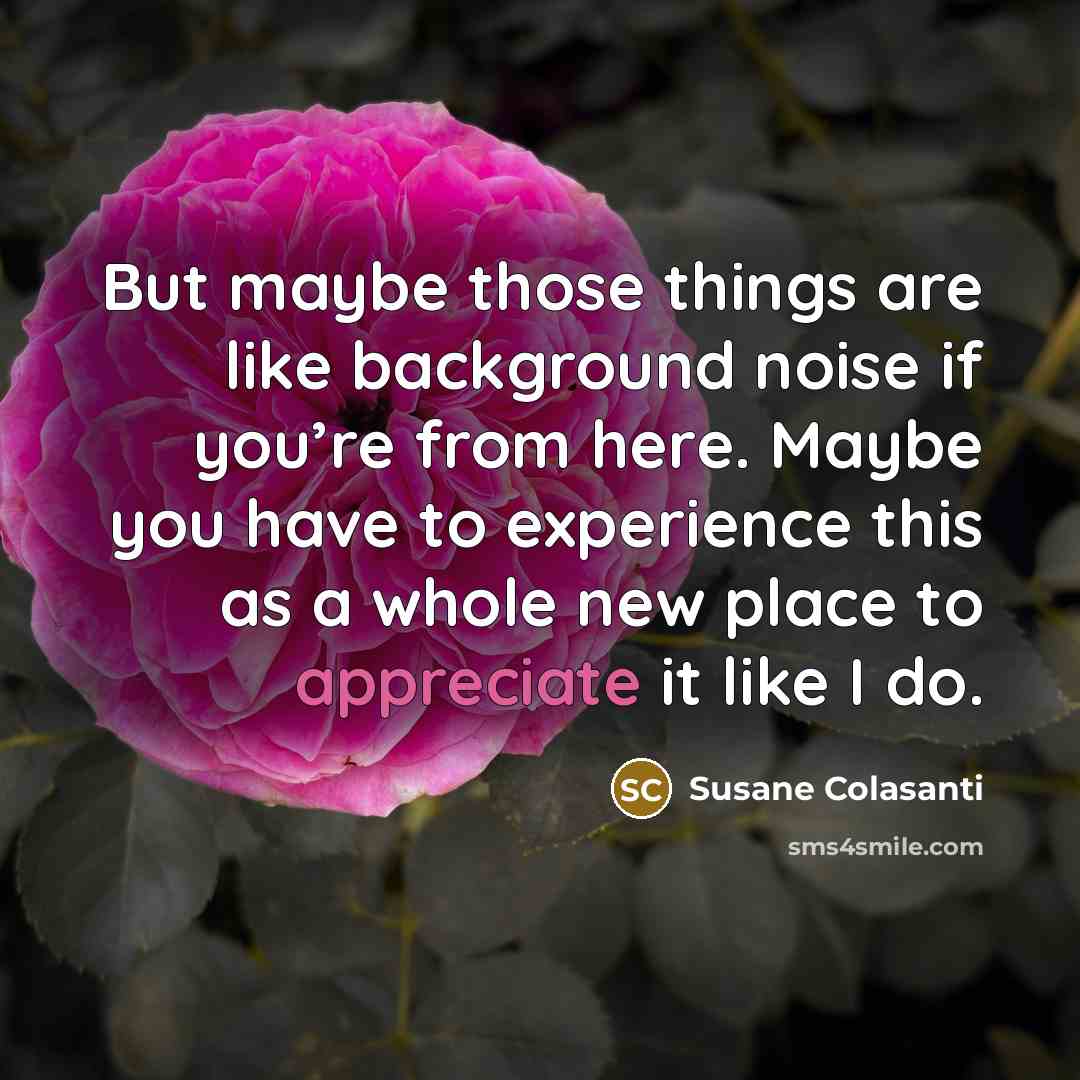 “But maybe those things are like background noise if you’re…” quote by Susane Colasanti
