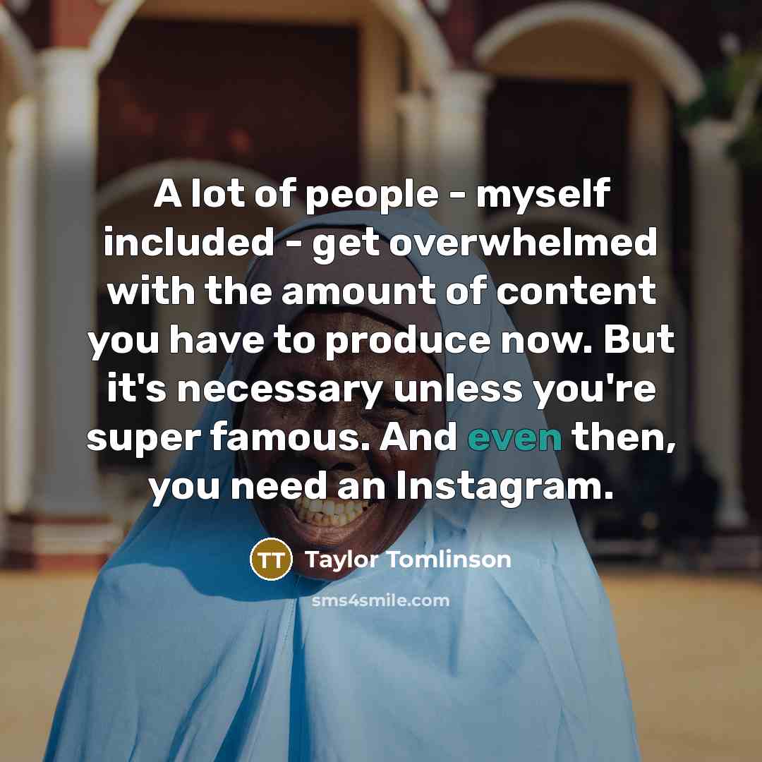 “A lot of people - myself included - get overwhelmed…” quote by Taylor Tomlinson