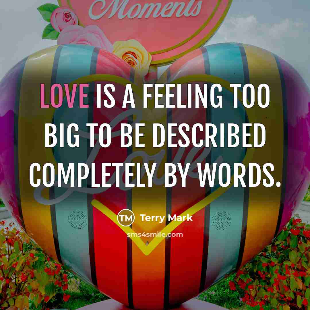 “Love is a feeling too big to be described completely…” quote by Terry Mark