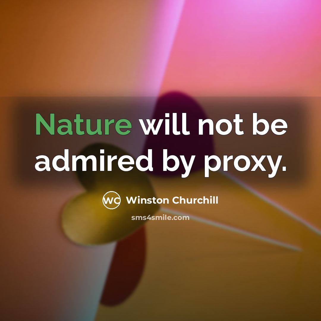 “Nature will not be admired by proxy.…” quote by Winston Churchill
