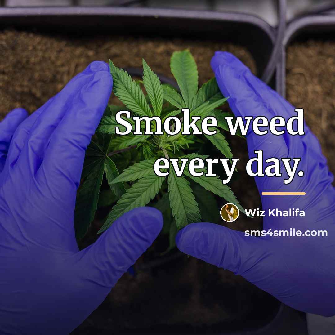“Smoke weed every day.…” quote by Wiz Khalifa