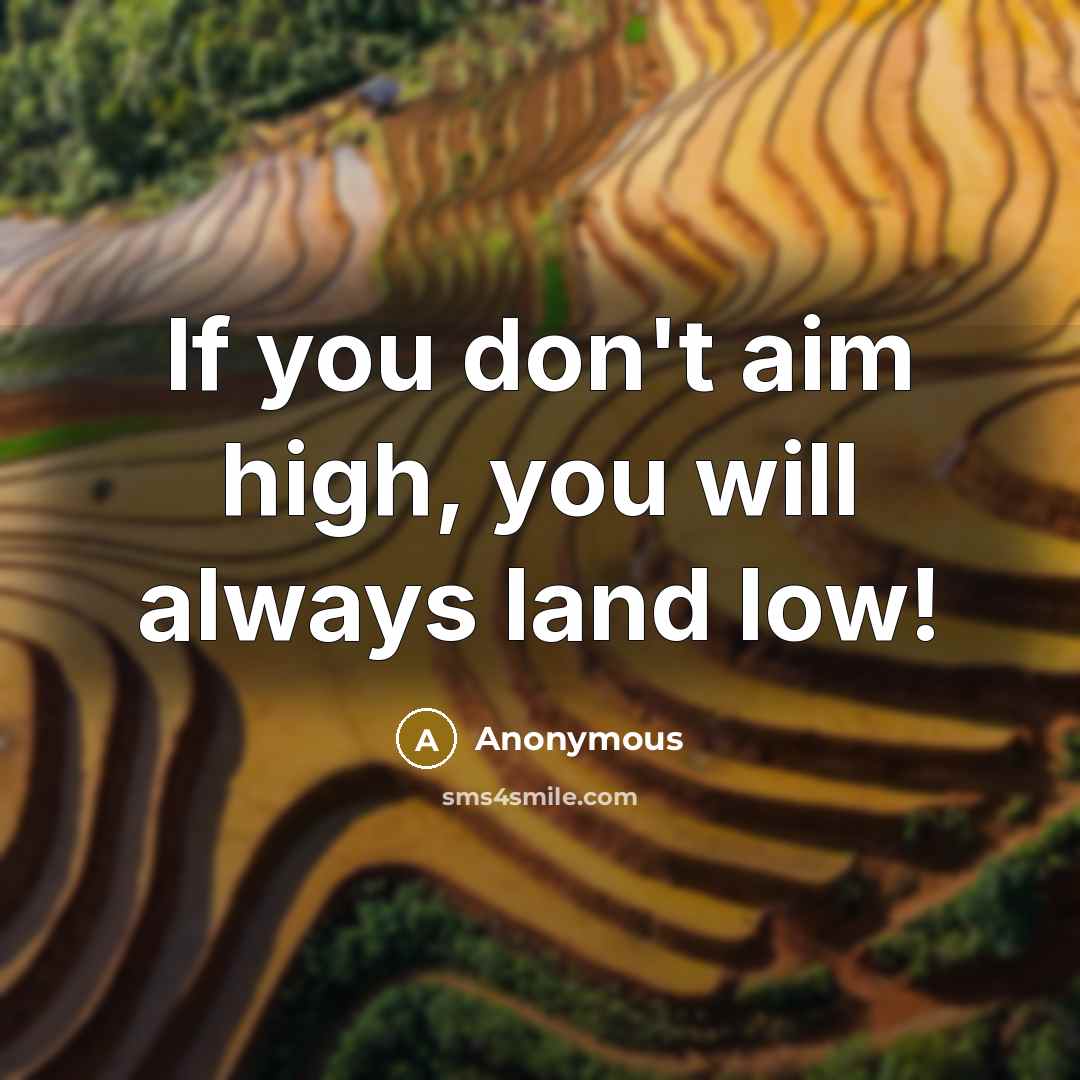 “If you don't aim high, you will always land low!…” quote by Anonymous