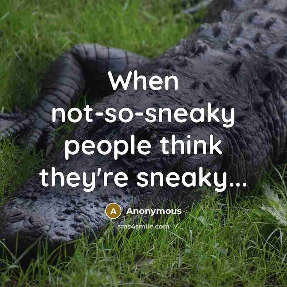 “When not-so-sneaky people think they're sneaky...” quote by Anonymous