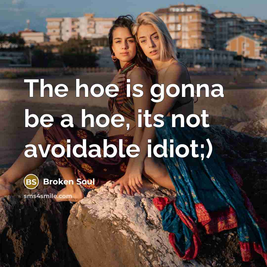 “The hoe is gonna be a hoe, its not avoidable idiot;)” quote by Broken Soul