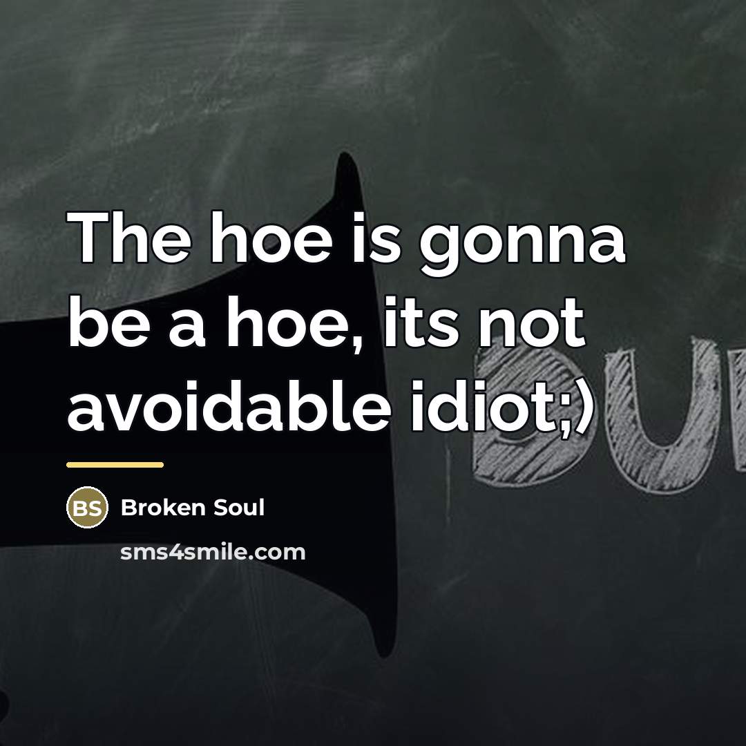 “The hoe is gonna be a hoe, its not avoidable…” quote by Broken Soul