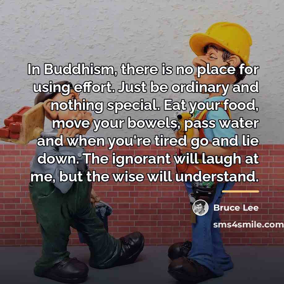 “In Buddhism, there is no place for using effort. Just…” quote by Bruce Lee