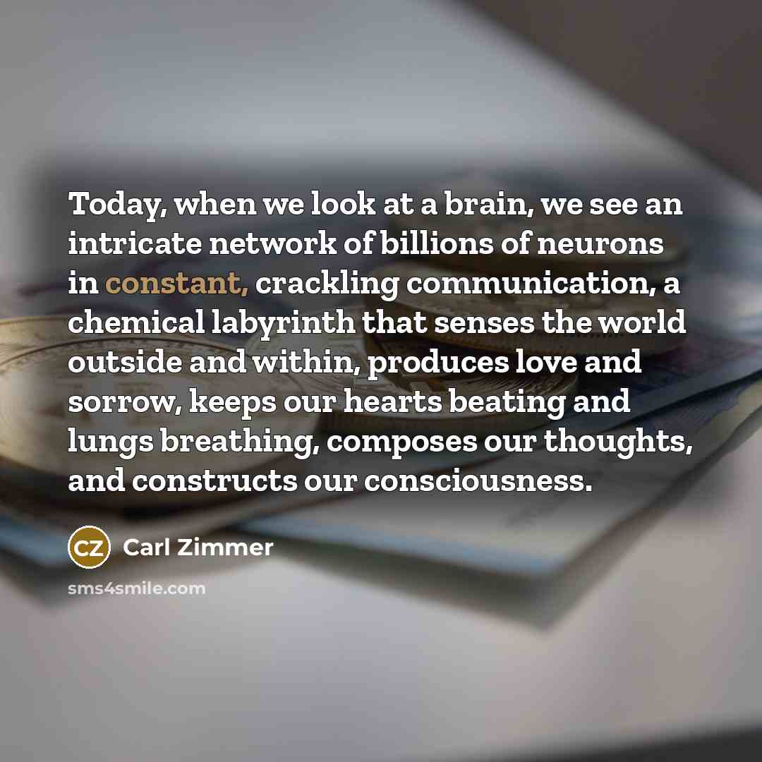 “Today, when we look at a brain, we see an…” quote by Carl Zimmer