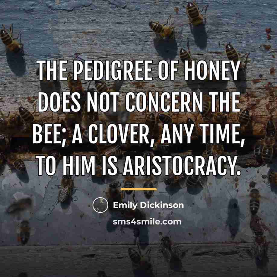 “The pedigree of honey does not concern the bee; A…” quote by Emily Dickinson