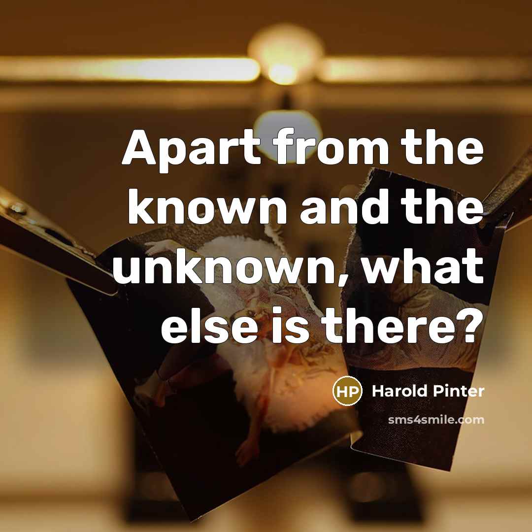 “Apart from the known and the unknown, what else is there?” quote by Harold Pinter