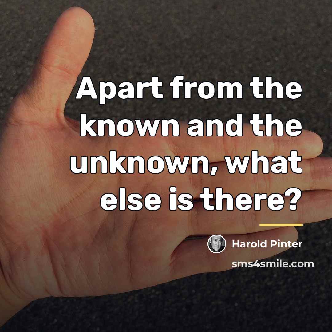 “Apart from the known and the unknown, what else is…” quote by Harold Pinter