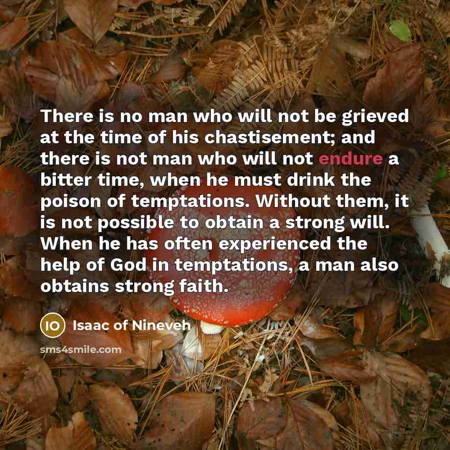 “There is no man who will not be grieved at…” quote by Isaac of Nineveh