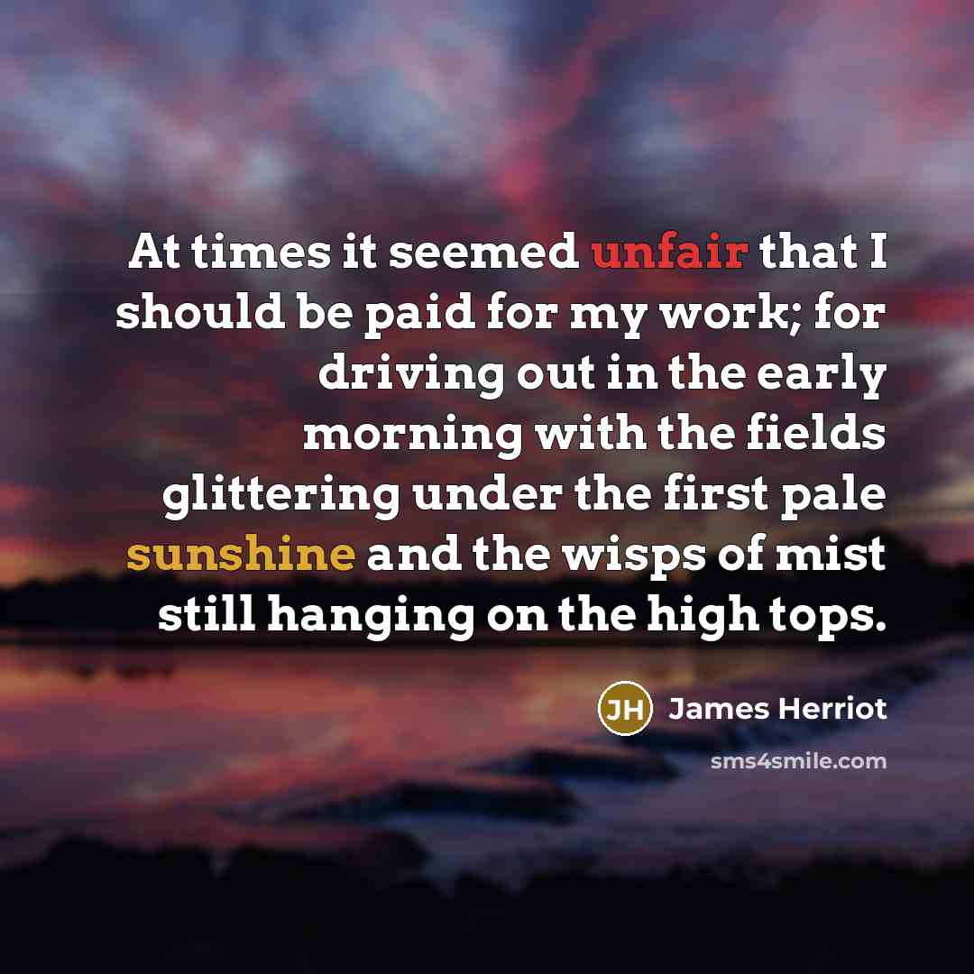 “At times it seemed unfair that I should be paid…” quote by James Herriot