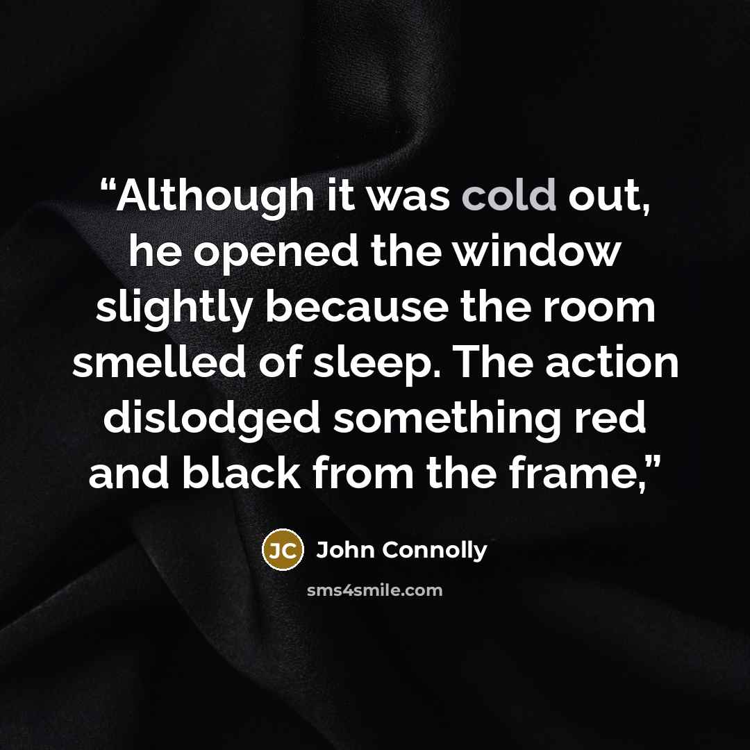 “Although it was cold out, he opened the window slightly because the room smelled of sleep. The action dislodged something red and black from the frame,” quote by John Connolly