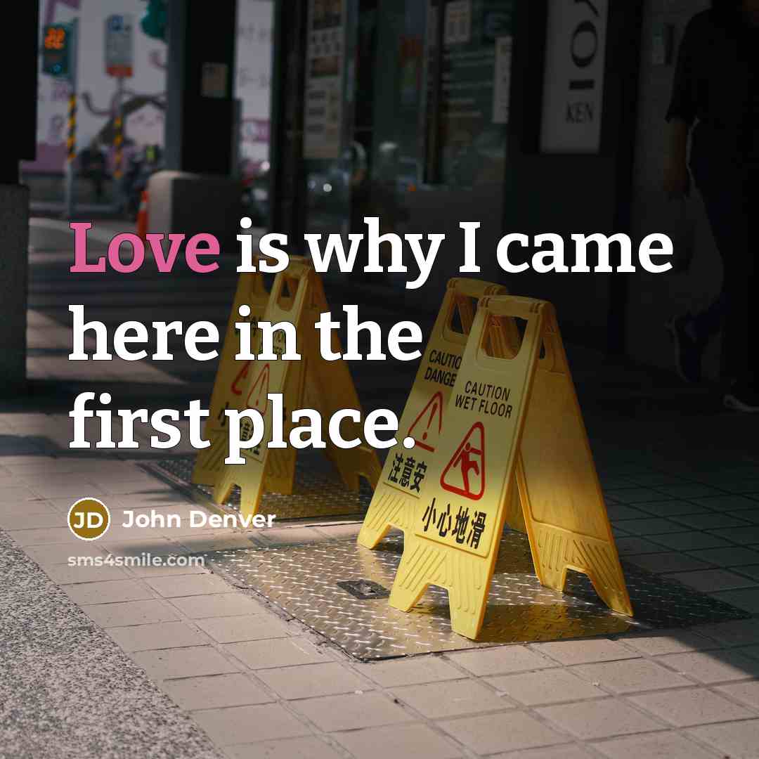 “Love is why I came here in the first place.” quote by John Denver