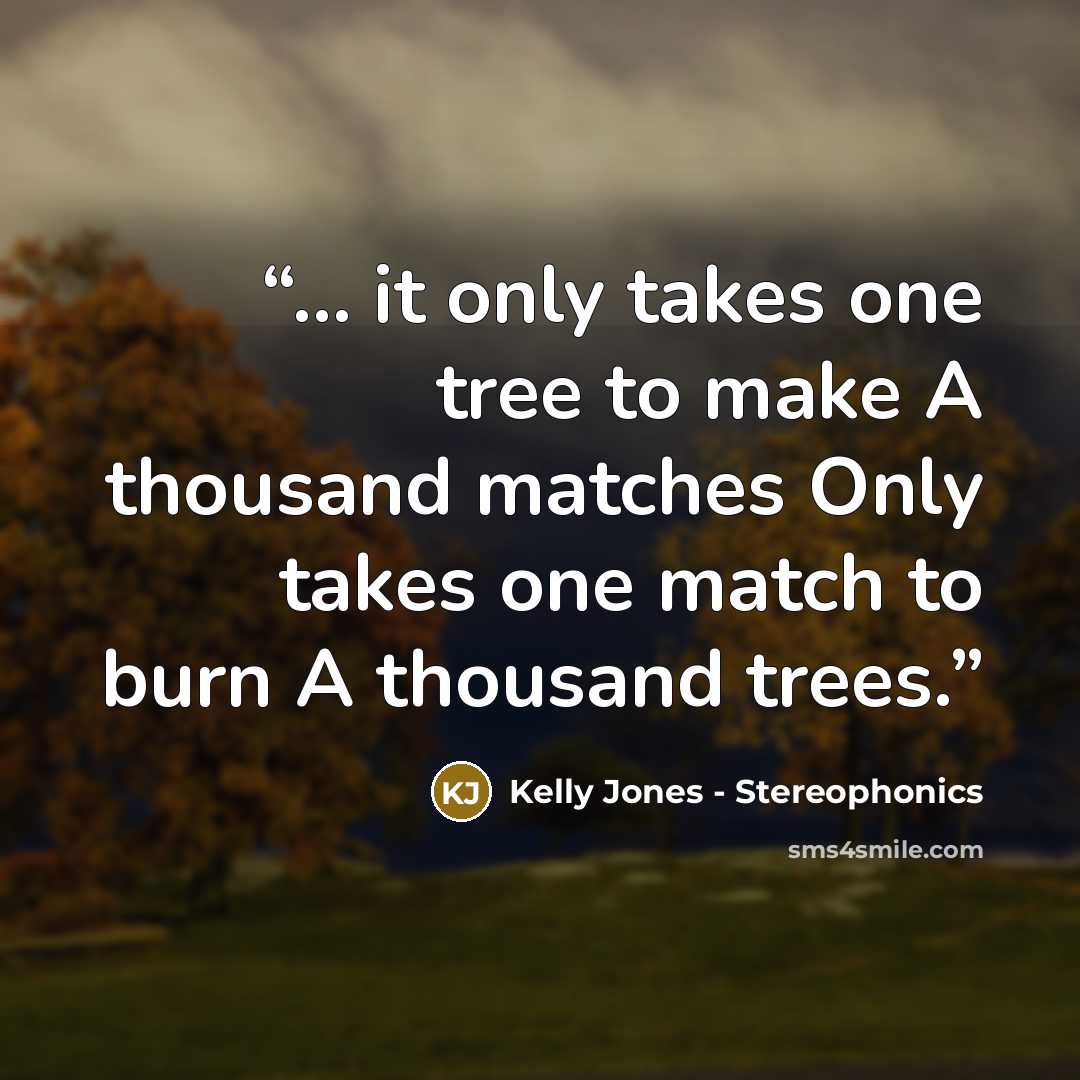“... it only takes one tree to make A thousand matches Only takes one match to burn A thousand trees.” quote by Kelly Jones - Stereophonics