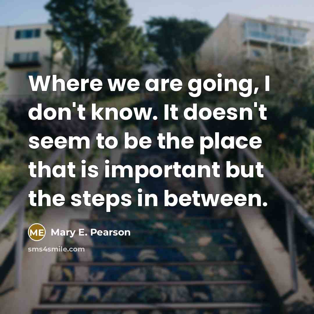 “Where we are going, I don't know. It doesn't seem to be the place that is important but the steps in between.” quote by Mary E. Pearson