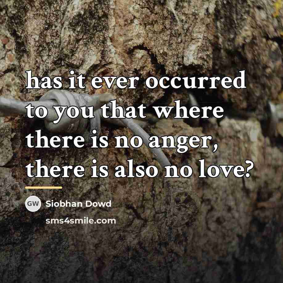 “has it ever occurred to you that where there is…” quote by Siobhan Dowd
