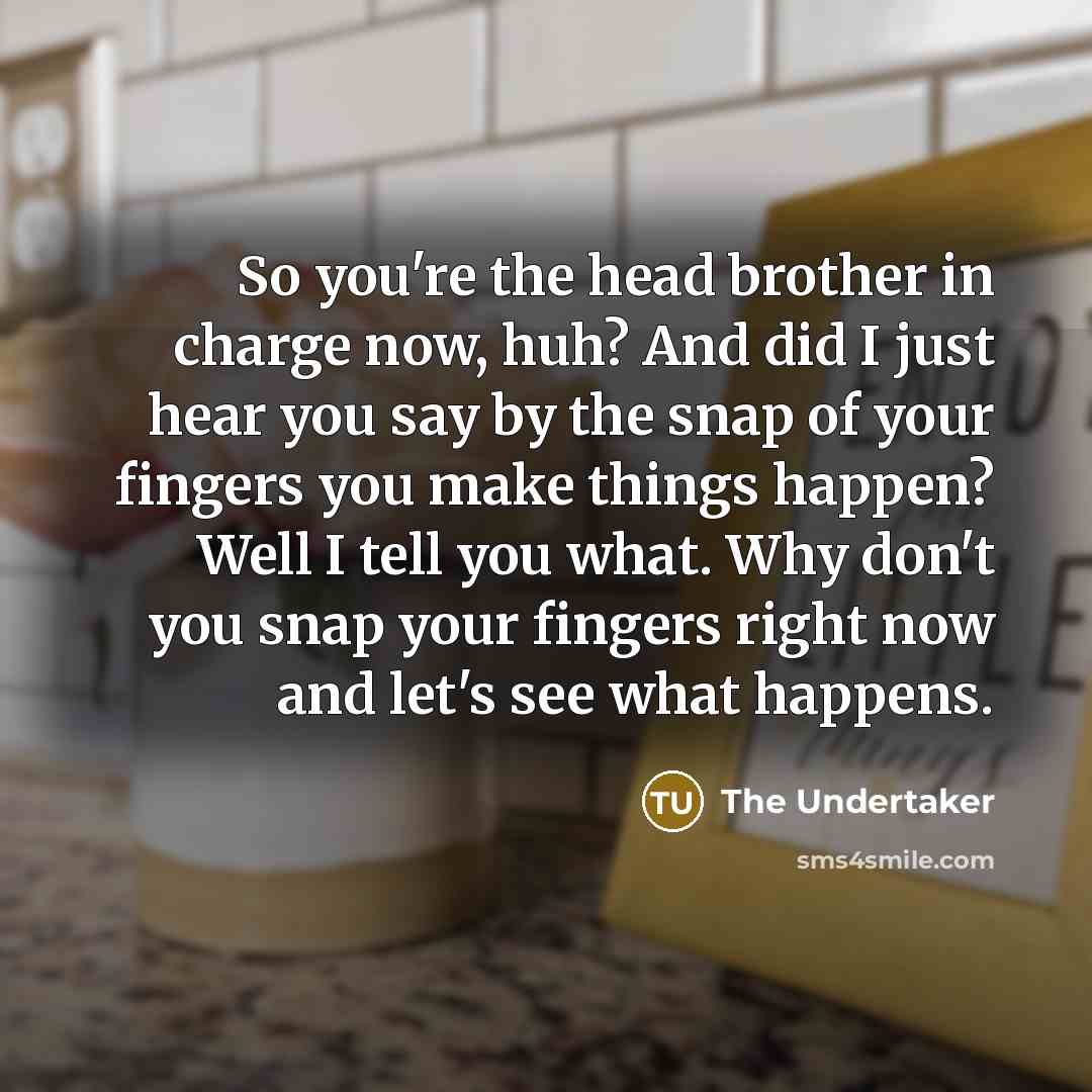 “So you're the head brother in charge now, huh? And…” quote by The Undertaker