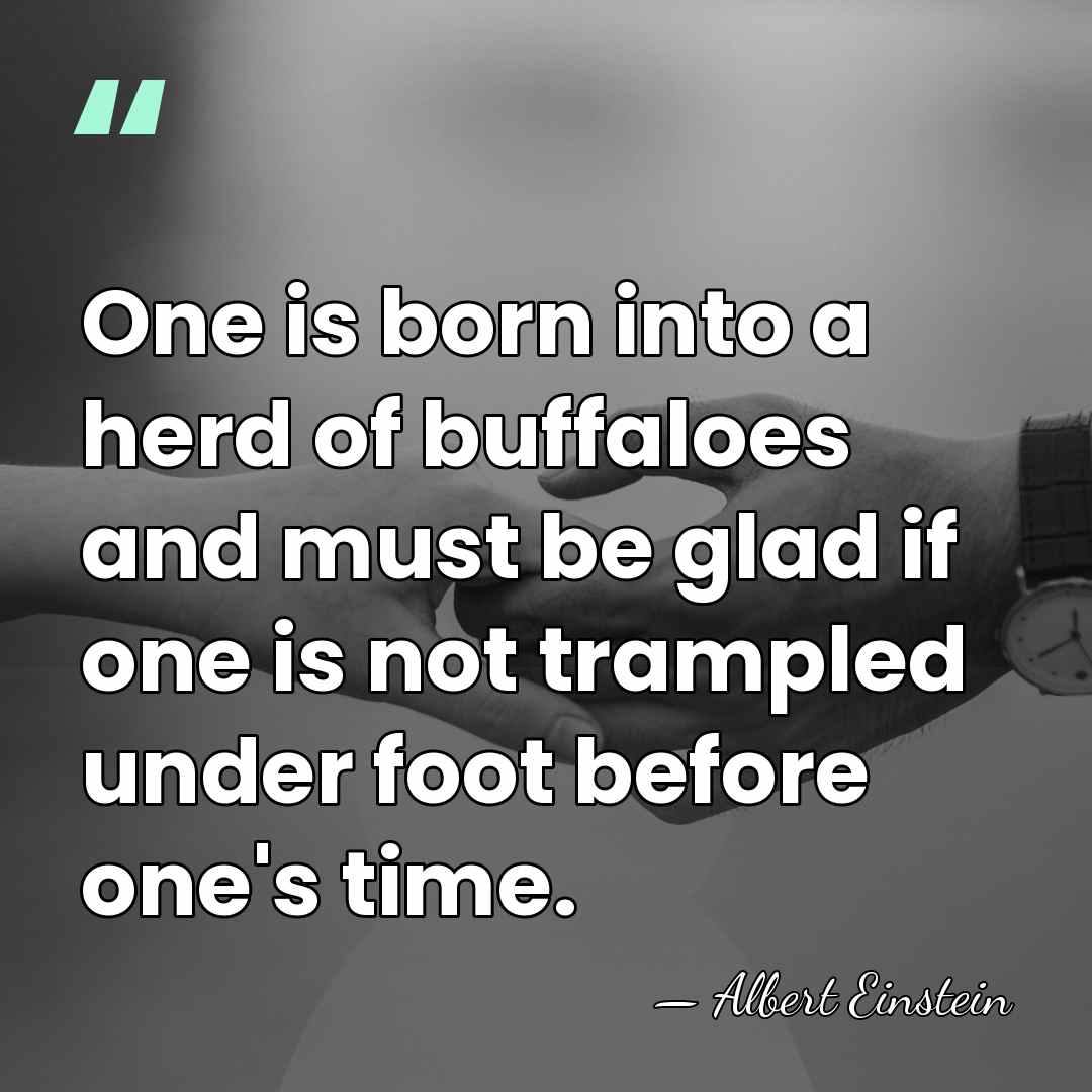 One is born into a herd of buffaloes and must be glad&hellip; - Albert Einstein