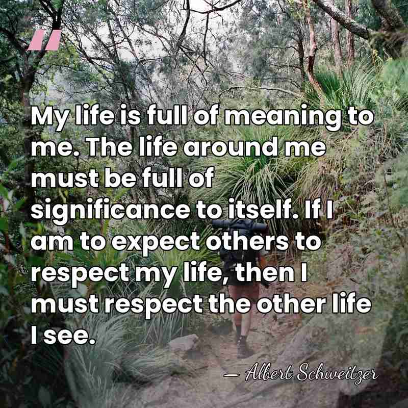 My life is full of meaning to me. The life around me&hellip; - Albert Schweitzer