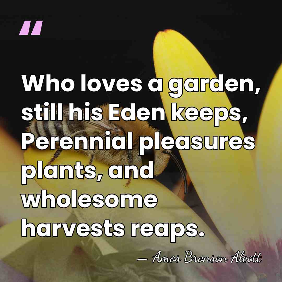 Who loves a garden, still his Eden keeps, Perennial pleasures plants, and&hellip; - Amos Bronson Alcott
