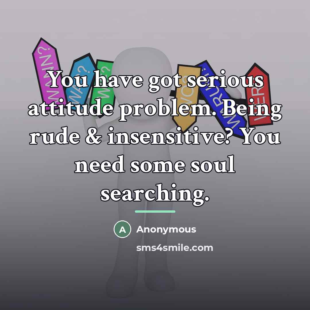 “You have got serious attitude problem. Being rude & insensitive?…” quote by Anonymous