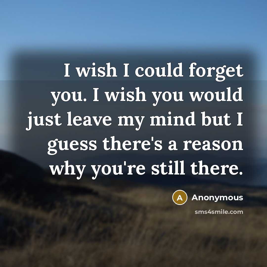 “I wish I could forget you. I wish you would just leave my mind but I guess there's a reason why you're still there.” quote by Anonymous