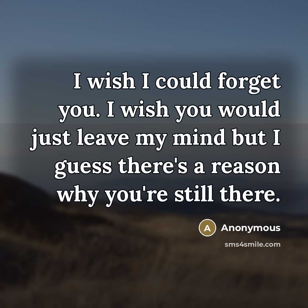 “I wish I could forget you. I wish you would…” quote by Anonymous