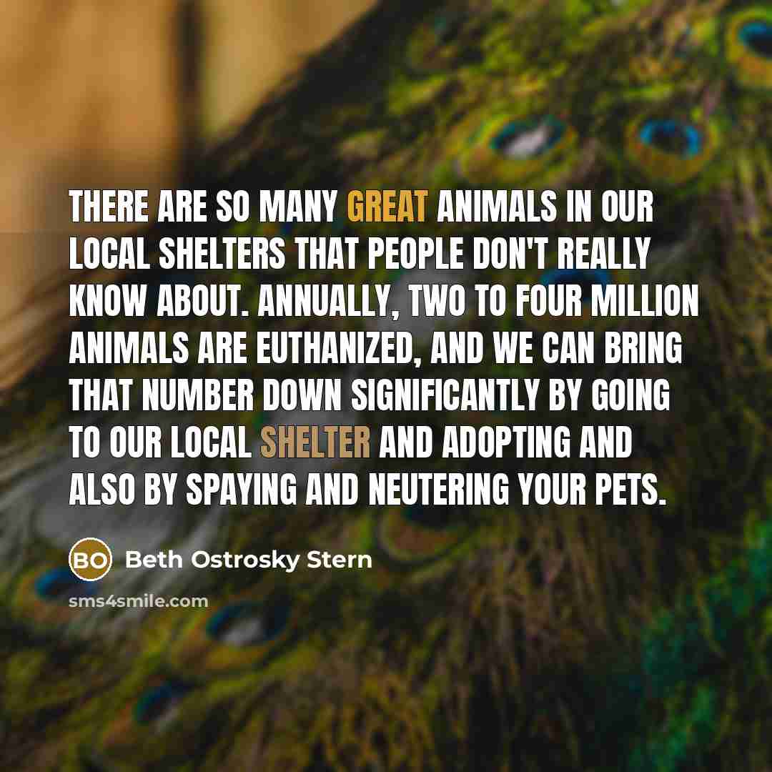 “There are so many great animals in our local shelters…” quote by Beth Ostrosky Stern