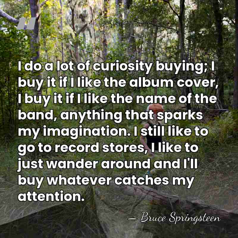 I do a lot of curiosity buying; I buy it if I&hellip; - Bruce Springsteen