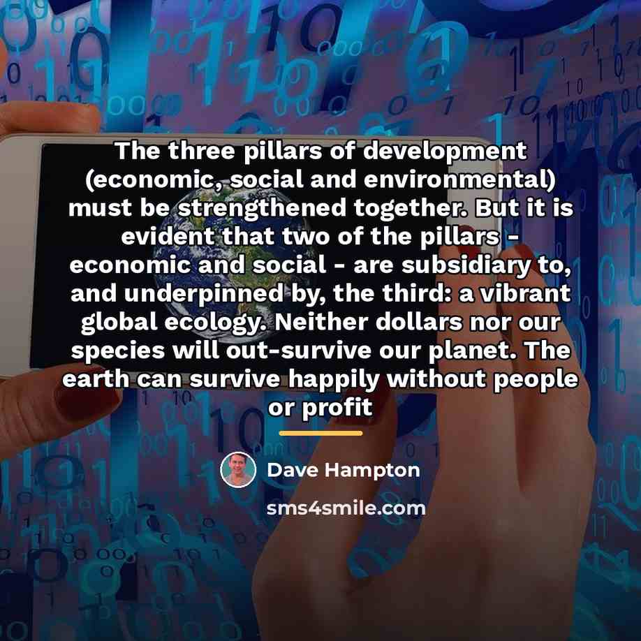 “The three pillars of development (economic, social and environmental) must…” quote by Dave Hampton