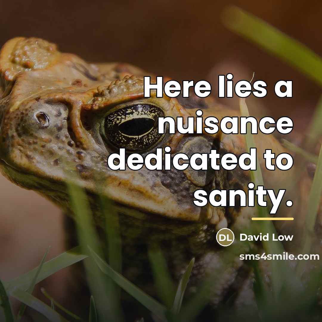 “Here lies a nuisance dedicated to sanity.…” quote by David Low