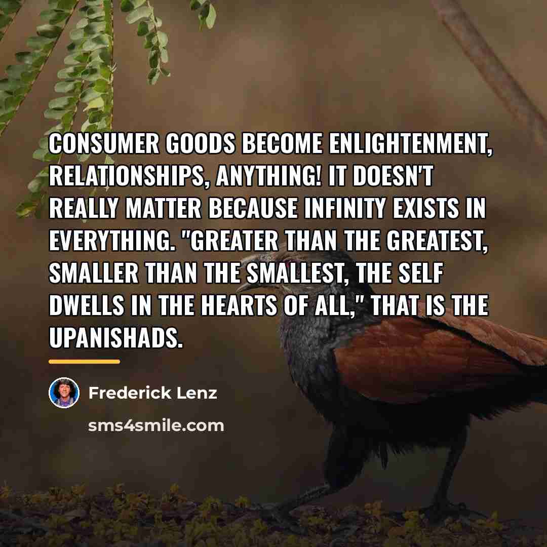 “Consumer goods become enlightenment, relationships, anything! It doesn't really matter…” quote by Frederick Lenz