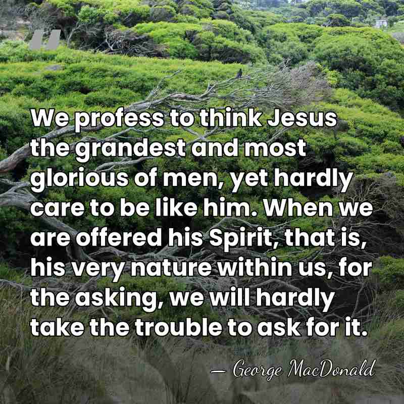 We profess to think Jesus the grandest and most glorious of men,&hellip; - George MacDonald