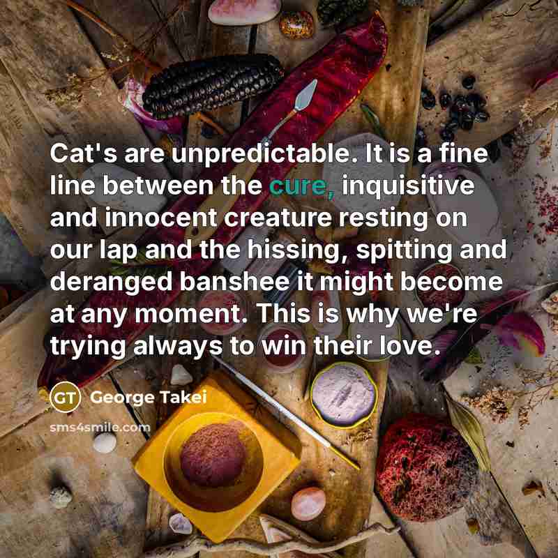 “Cat's are unpredictable. It is a fine line between the…” quote by George Takei