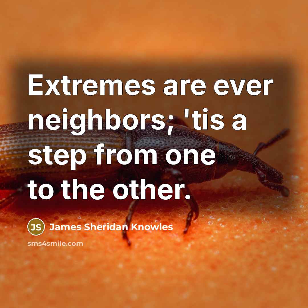 “Extremes are ever neighbors; 'tis a step from one to…” quote by James Sheridan Knowles