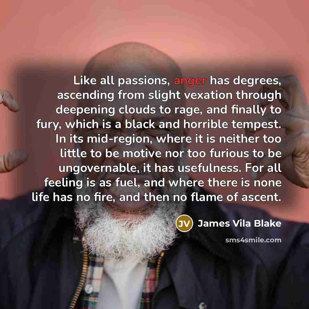 “Like all passions, anger has degrees, ascending from slight vexation…” quote by James Vila Blake