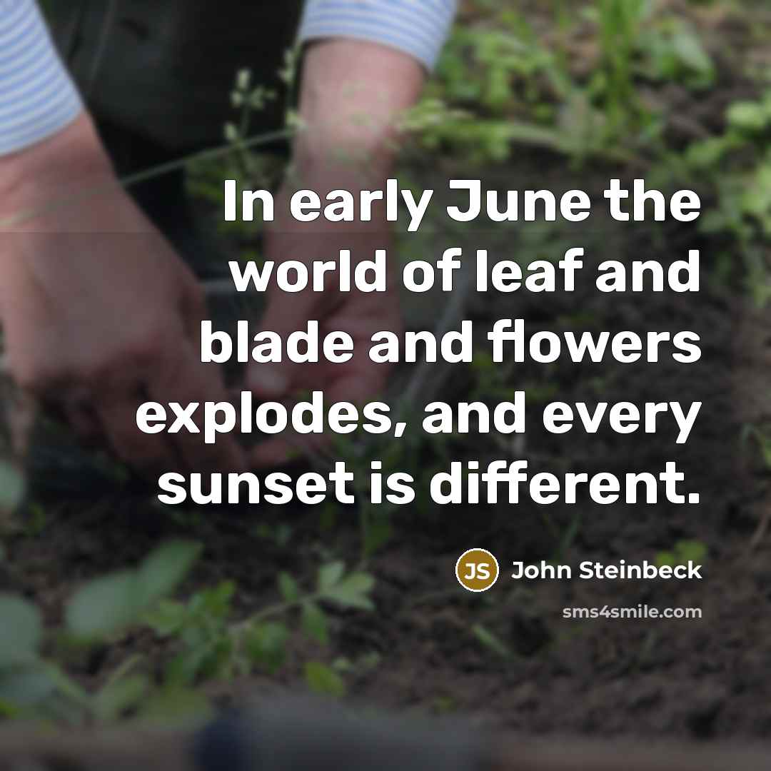 “In early June the world of leaf and blade and…” quote by John Steinbeck