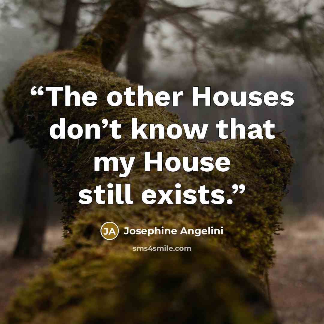 “The other Houses don’t know that my House still exists.” quote by Josephine Angelini