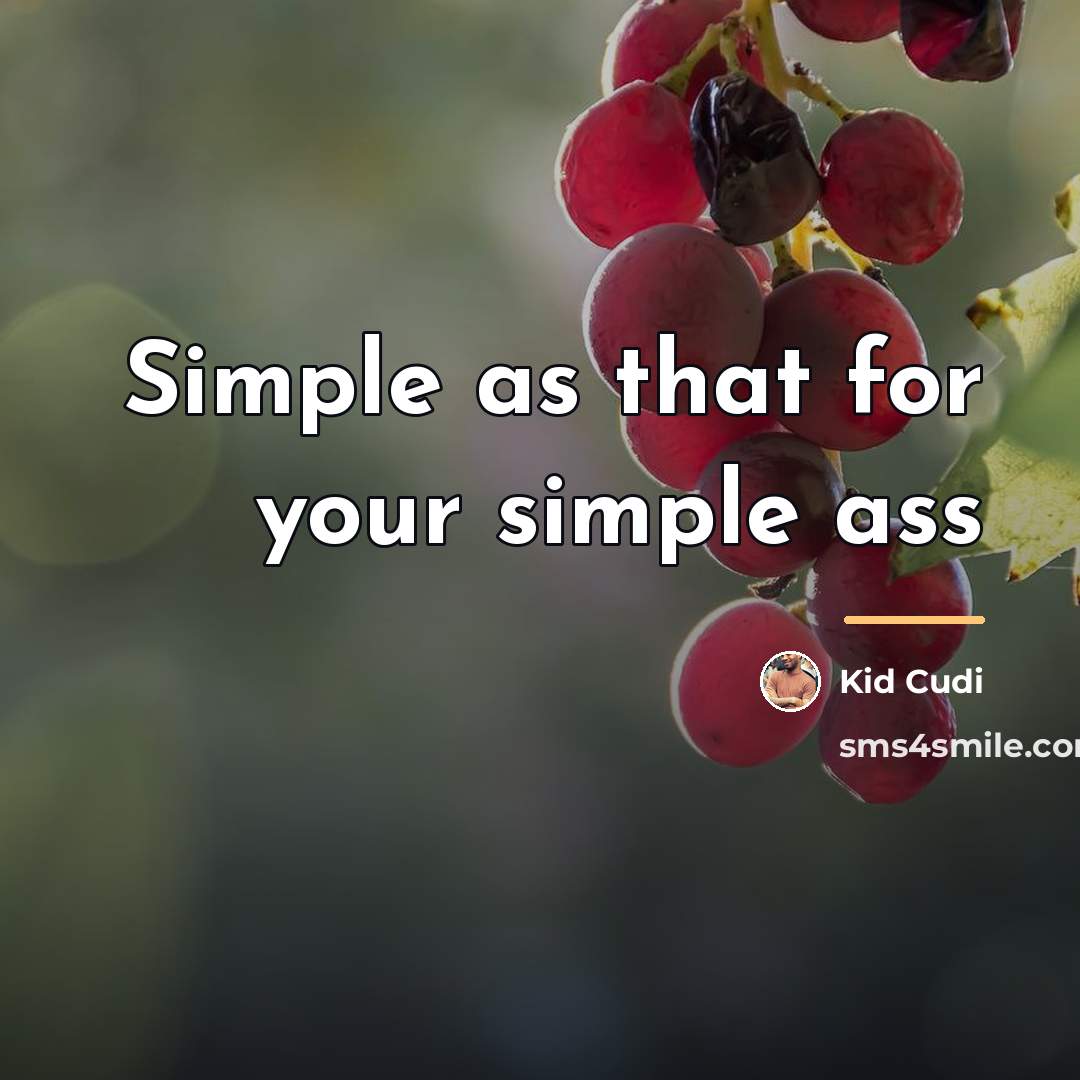 “Simple as that for your simple ass…” quote by Kid Cudi