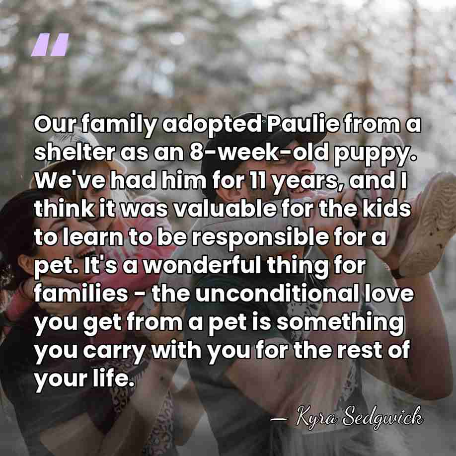 Our family adopted Paulie from a shelter as an 8-week-old puppy. We've&hellip; - Kyra Sedgwick
