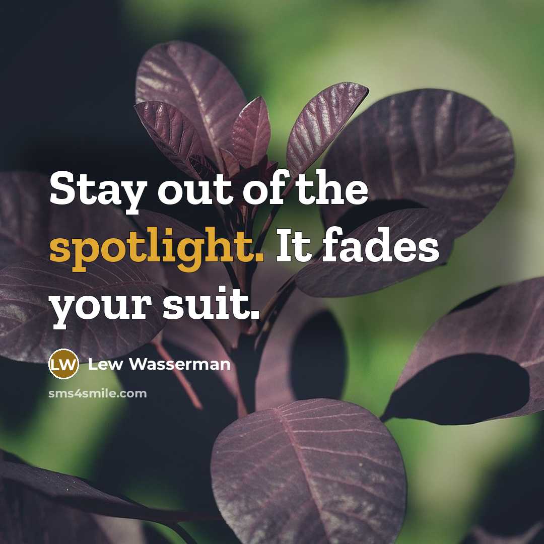 “Stay out of the spotlight. It fades your suit.…” quote by Lew Wasserman