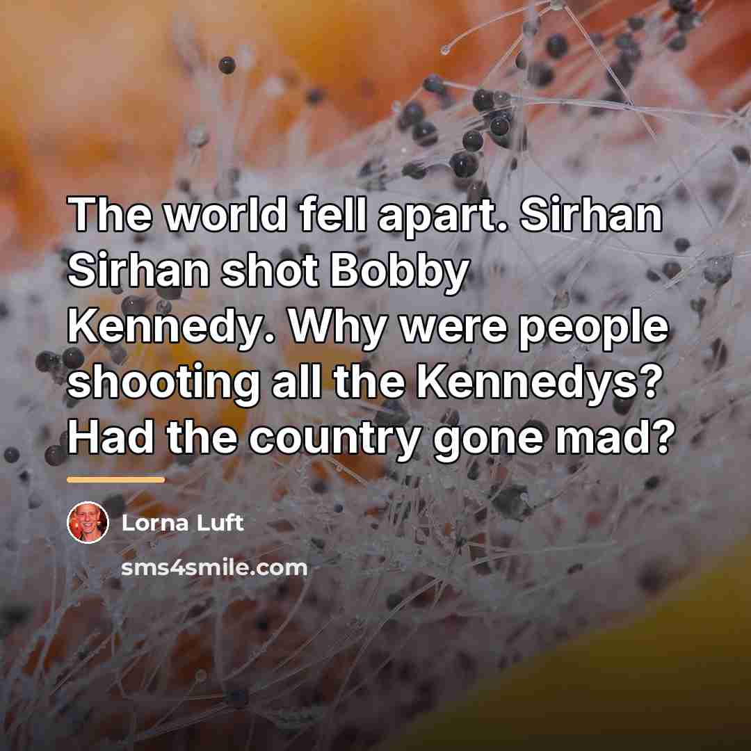 “The world fell apart. Sirhan Sirhan shot Bobby Kennedy. Why…” quote by Lorna Luft