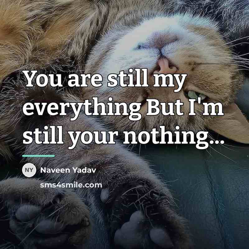“You are still my everything But I'm still your nothing...…” quote by Naveen Yadav