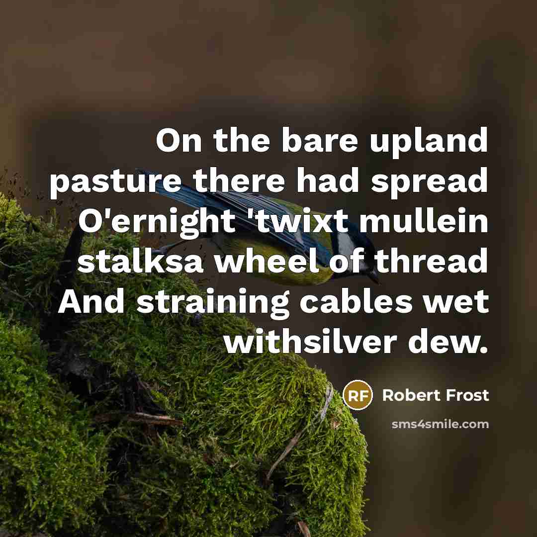 “On the bare upland pasture there had spread O'ernight 'twixt…” quote by Robert Frost